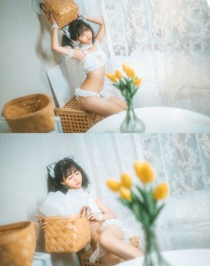 热带丛林历险记