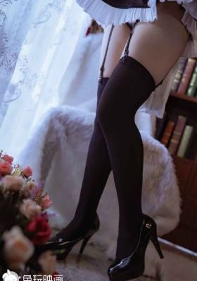 我的冠军狗