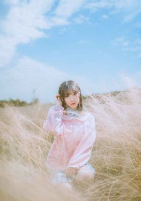 猪标一族